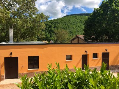 Ollyfarm bnb